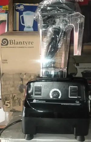 Blantyre 2L Commercial Blender