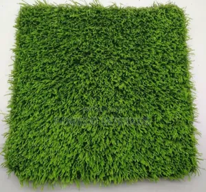 Synthetic Grass Carpet for Multipurpose Usage