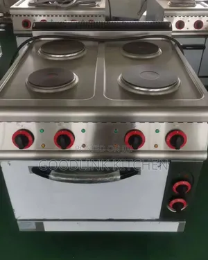 Commercial Canter Top Cooker