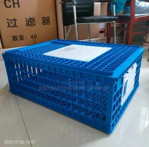 Big Size Jumbo Transport Crate,Indian Transfer Cage