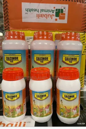 Calcinor Plus