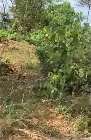 Standard 3plots of Land for Sale