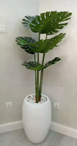 Fiber Pots