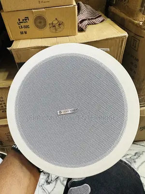 Promic Passive Ceiling Speakers