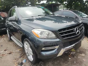 Mercedes-Benz M Class 2015 Gray