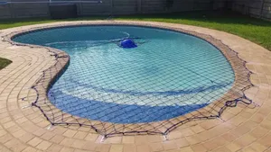 Swimming Pool Expert