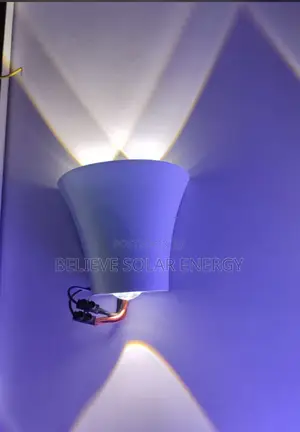 Wall Flush