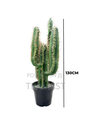 Artificial Cactus Plant | Wholesale of Fake Plants