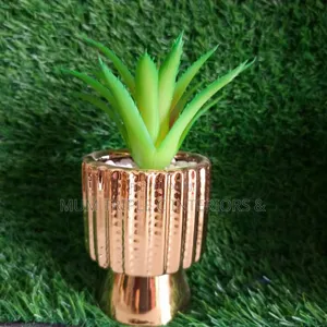 Flower With Gold Pot