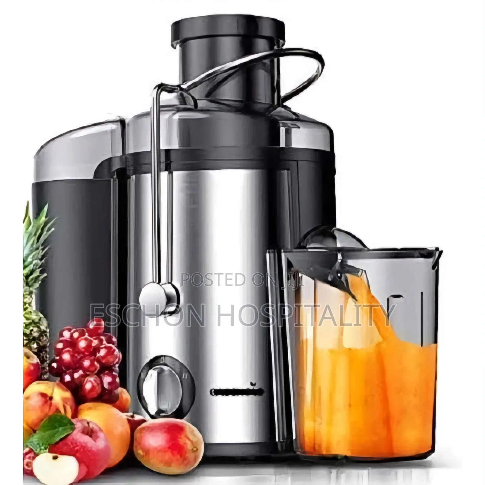 Century Juice Extractor