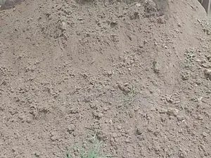 Plaster Sand