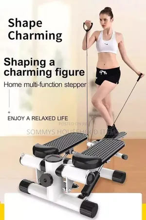 Mini Stepper Machine