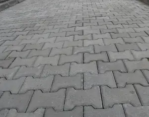 Interlocking Pavement..