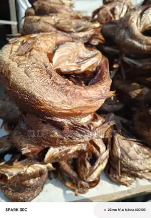 Dried Sea Croacker