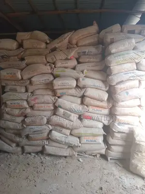 Bentonite Clay