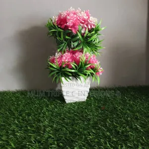 Flowers for Decore