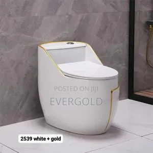 Smart Water Closet With Golden Line Design Available