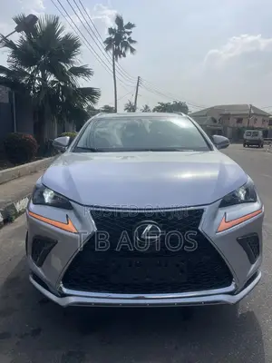 Lexus NX 300 AWD 2017 Silver