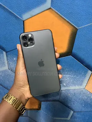Apple iPhone 11 Pro Max 256 GB Gray