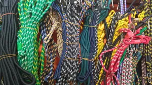 Security Lanyard
