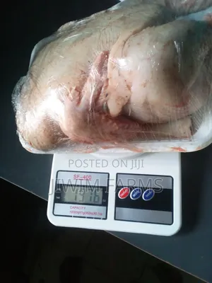 Dressed Broiler Chicken