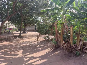 Half Plot of Land Fenced and Gated by Governos Rd