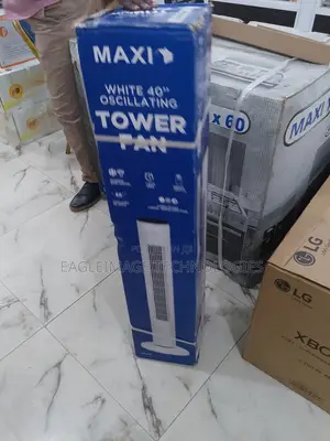 Best Priced Maxi 40'' Oscillating Tower Fan(Fz10-22jr)