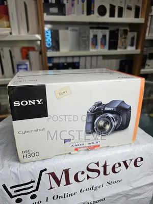 Sony Cybershot DSC-H300 Digital Camera
