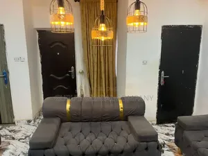 Luxury Gray Color Set of Chairs