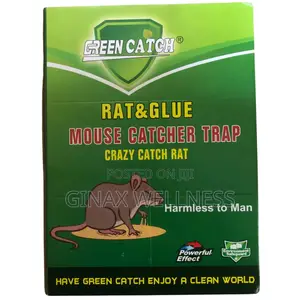 Green Catch Mouse and Rat Gum