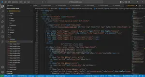 Expert Web Developer