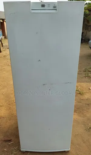 Siemens 221 Ltrs Upright Freezer