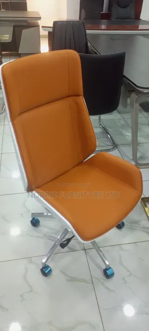 Multicolored Office Executive Office