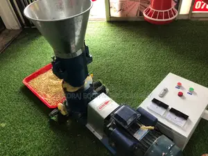 300kg/Hr Cheap High Quality Pellitizer Machine