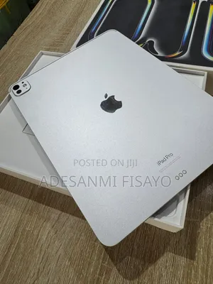 Apple iPad Pro 13 (2024) 256 GB Gray