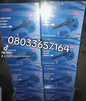 Electric Air Blower