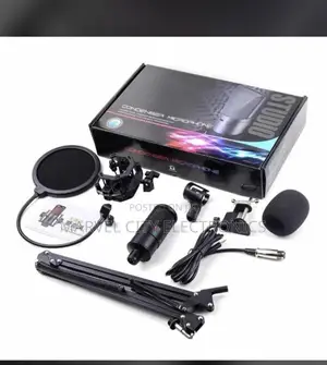 Ds 170 Studio Microphone