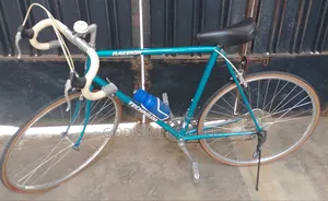 Full Sport Aluminum Raleigh Bicycle