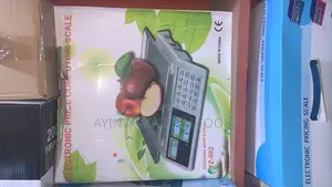 Electronic Price Computing Scale