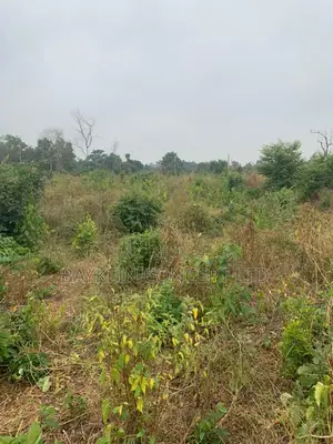 Acres of Land at Eruwa Express Ido Local Government