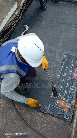 Ingenious Waterproofing Specialist