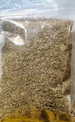 Dill Organic Seeds (Anethum Graveolens).250g