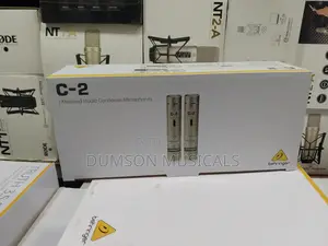 C-2 Condenser Behringer Wireless Microphone System