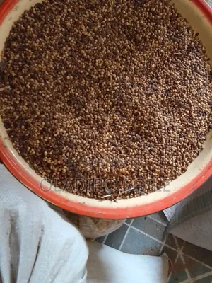 Broken Soya