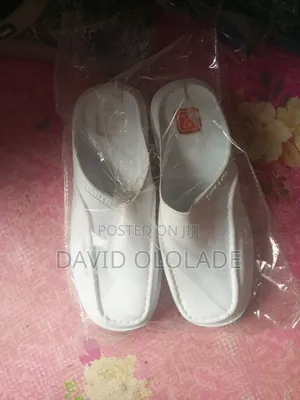 Laboratory Shoe