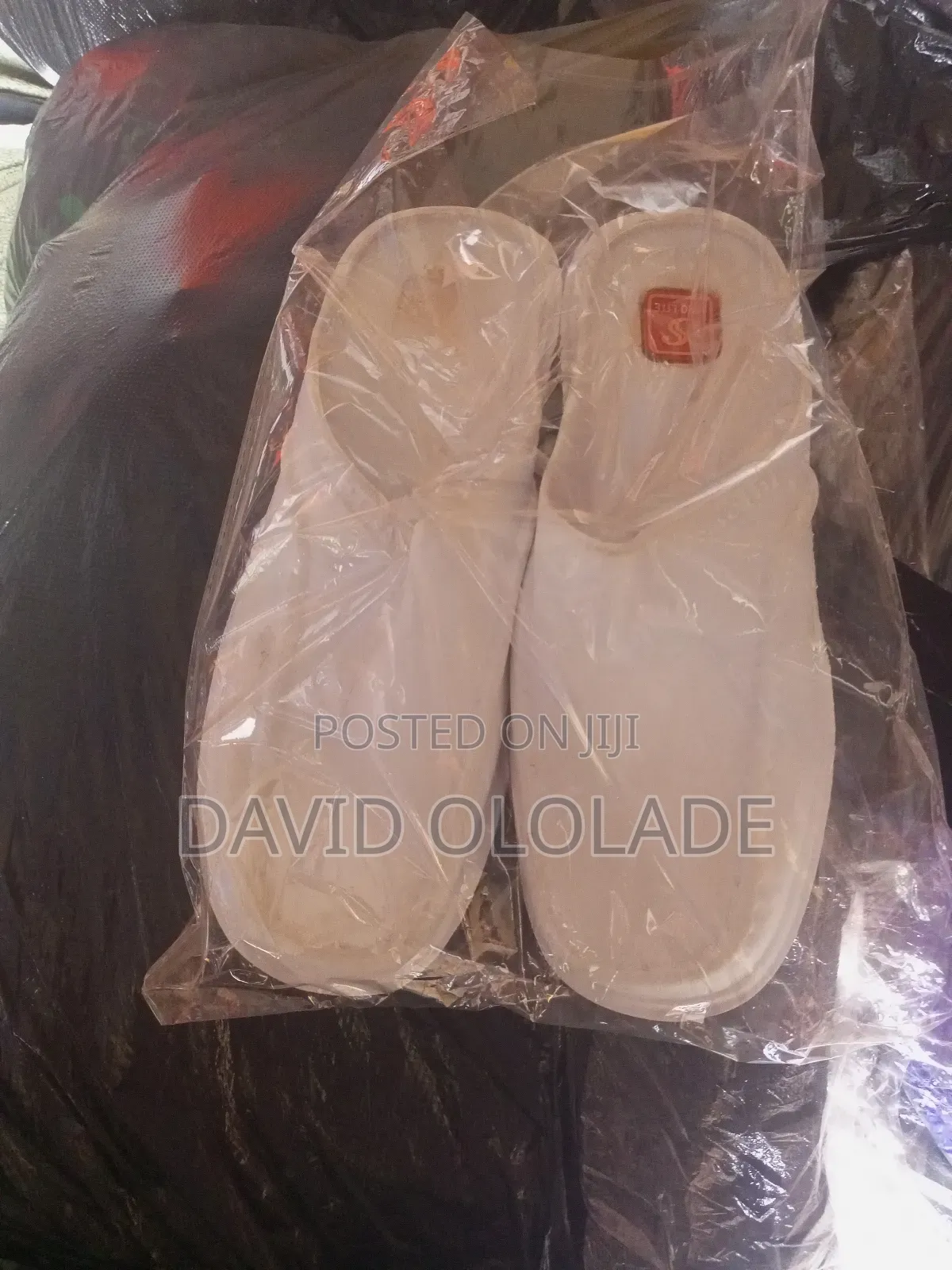 Laboratory Shoe