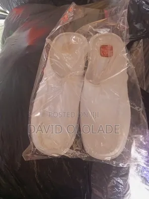 Laboratory Shoe
