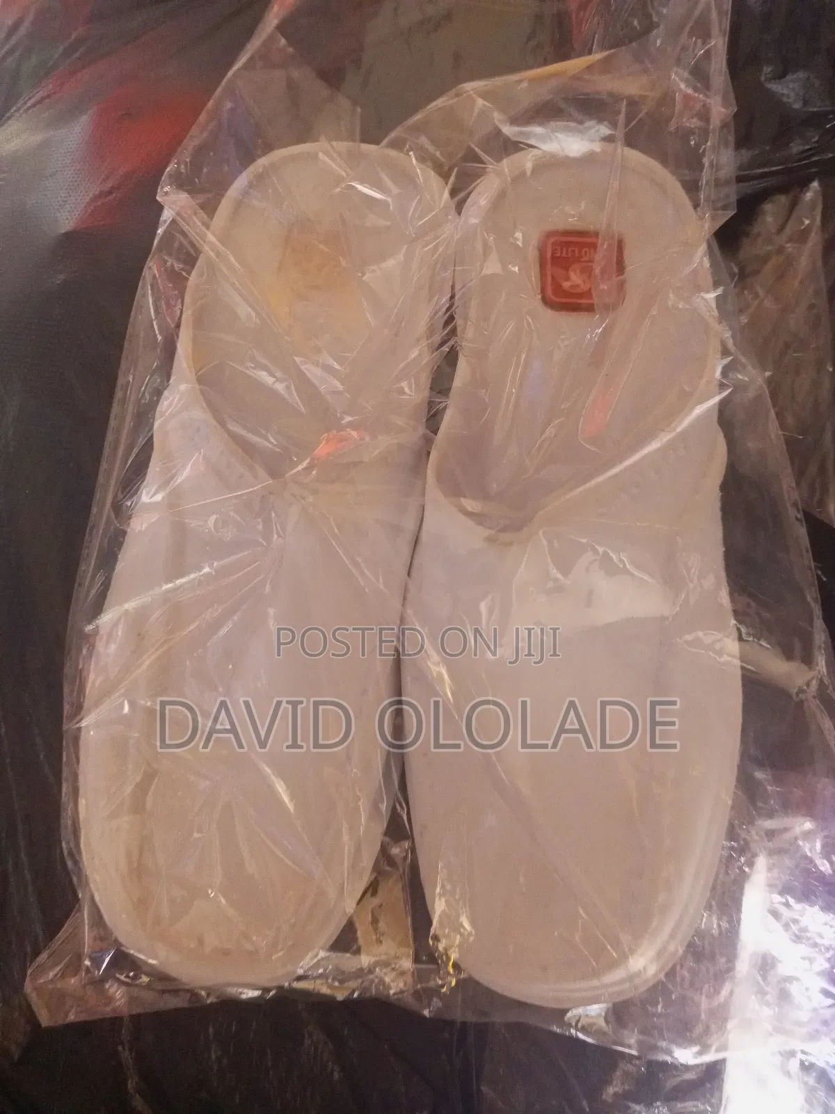 Laboratory Shoe