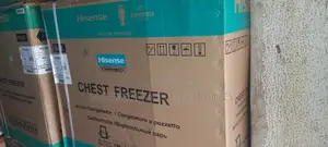 Hisense Inverter Expert Supper Fast Freezing Deep Freezer