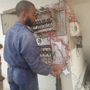 House Electrician
